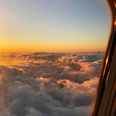 im电竞下载手机版